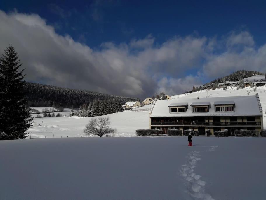 Duplex 59M2 - Proche Centre - Balcon Plein Sud Apartment Correncon-en-Vercors ภายนอก รูปภาพ