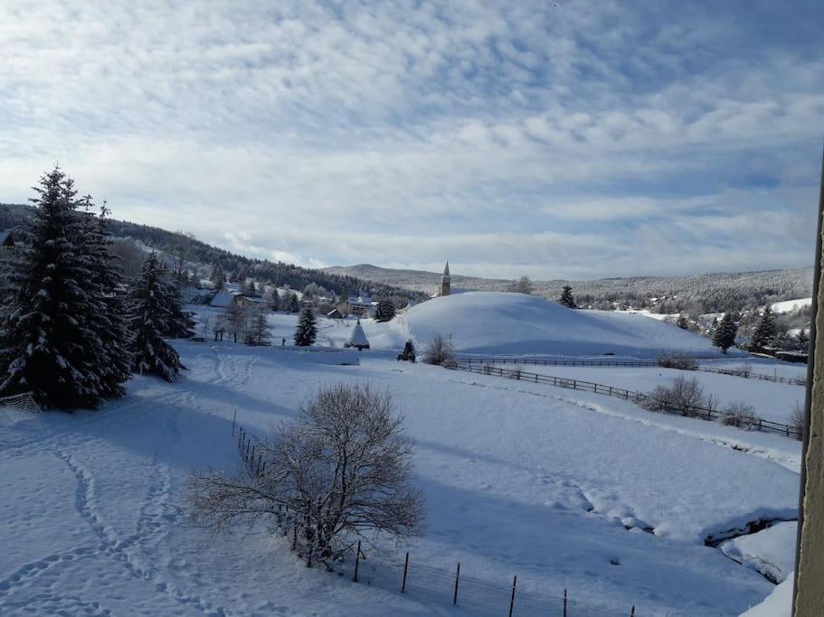 Duplex 59M2 - Proche Centre - Balcon Plein Sud Apartment Correncon-en-Vercors ภายนอก รูปภาพ